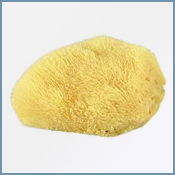 silk sponge